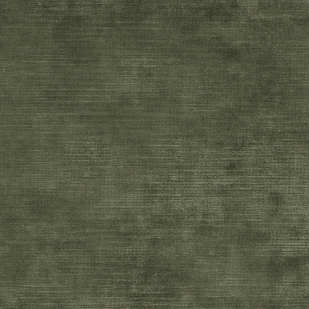 THREADS ED85292.775.0 MERIDIAN VELVET FERN Fabric - Eade's Wallpaper