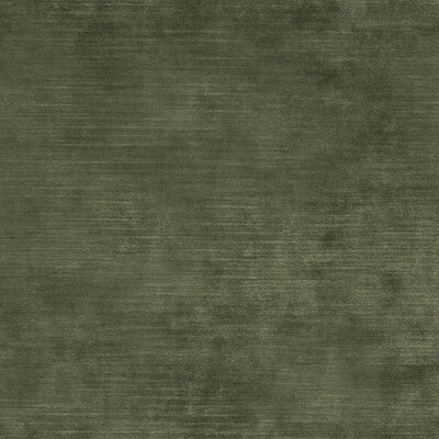 THREADS ED85292.775.0 MERIDIAN VELVET FERN Fabric - Eade's Wallpaper