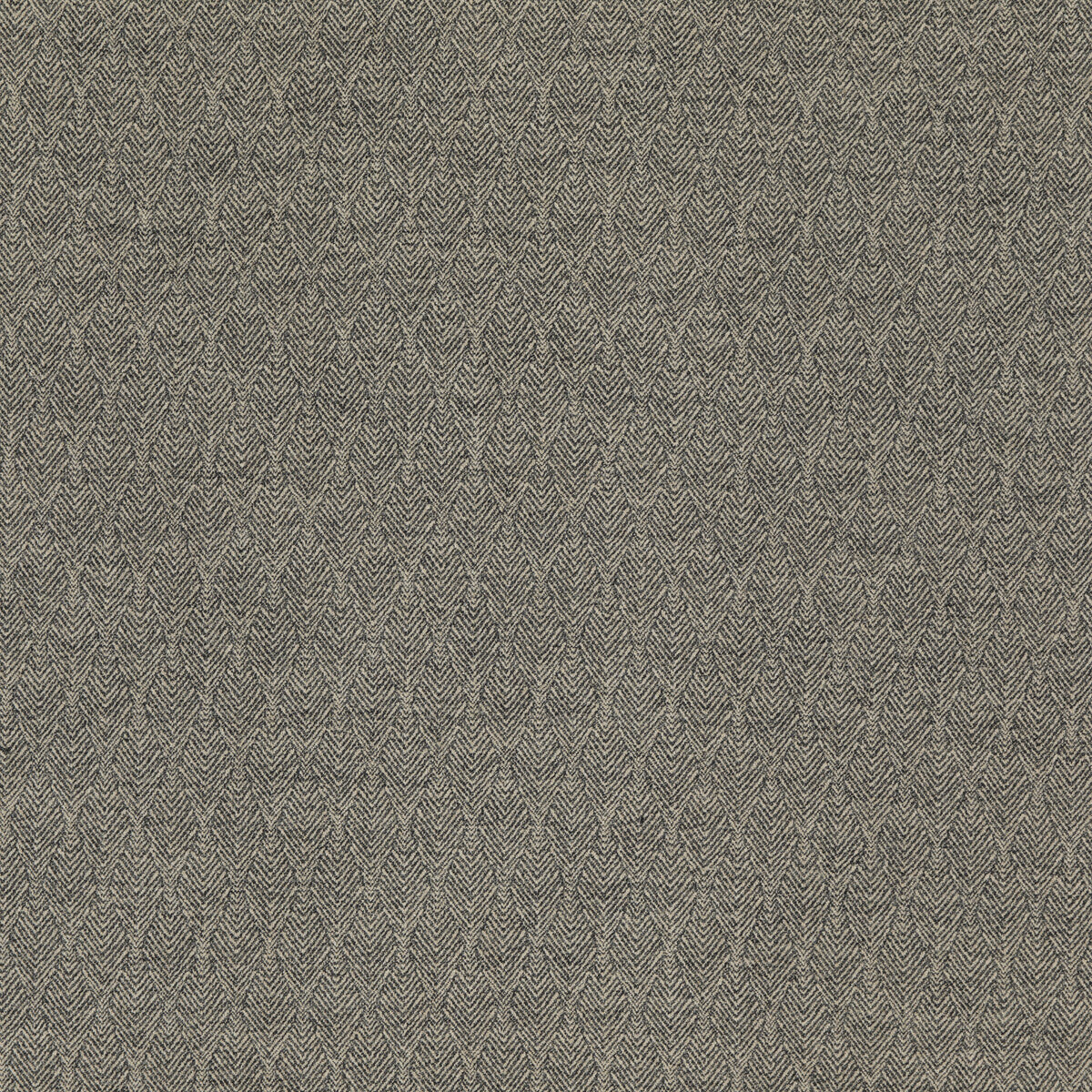 THREADS ED85298.955.0 CAPO EBONY Fabric - Eade's Wallpaper
