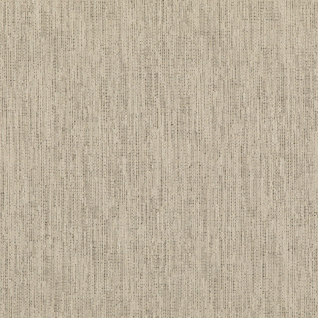 THREADS ED85317.985.0 STIPPLE CHARCOAL Fabric - Eade's Wallpaper