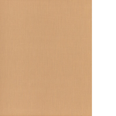 THREADS CLARITY ED85417.145.0 in SESAME Fabric - WINCH INDOO