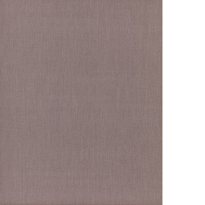 THREADS CLARITY ED85417.240.0 in MOLE Fabric - WINCH INDOOR-