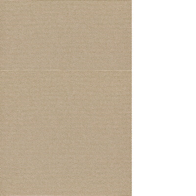 THREADS OCEANIA ED85423.795.0 in MOSS Fabric - WINCH INDOOR-