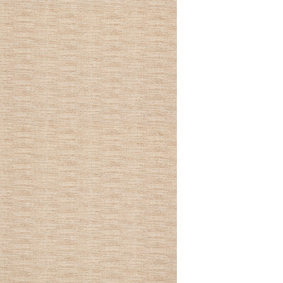 THREADS SURF ED85428.116.0 in CLOUD Fabric - WINCH INDOOR-OU