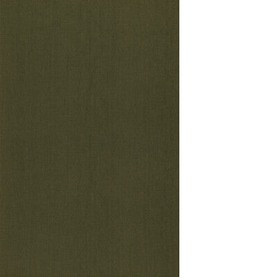 THREADS AZURE ED85429.795.0 in MOSS Fabric - WINCH INDOOR-OU