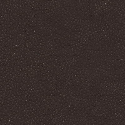 KRAVET COUTURE EDGY SHARK.6.0 EDGY SHARK ESPRESSO Fabric - Eade's Wallpaper