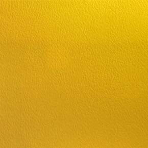 Eade’s # 064 SUN YELLOW