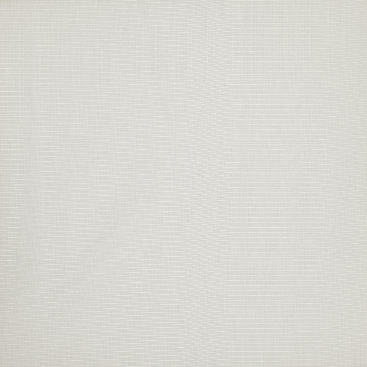 Eade’s # 33 OYSTER