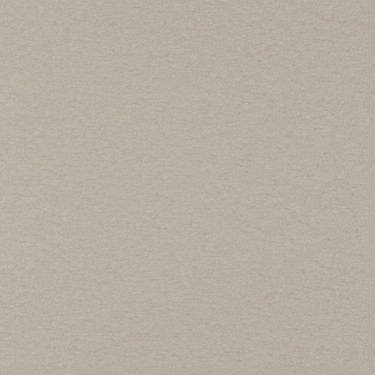 Eade’s # 07 OYSTER