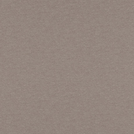 Eade’s # 09 CHINCHILLA