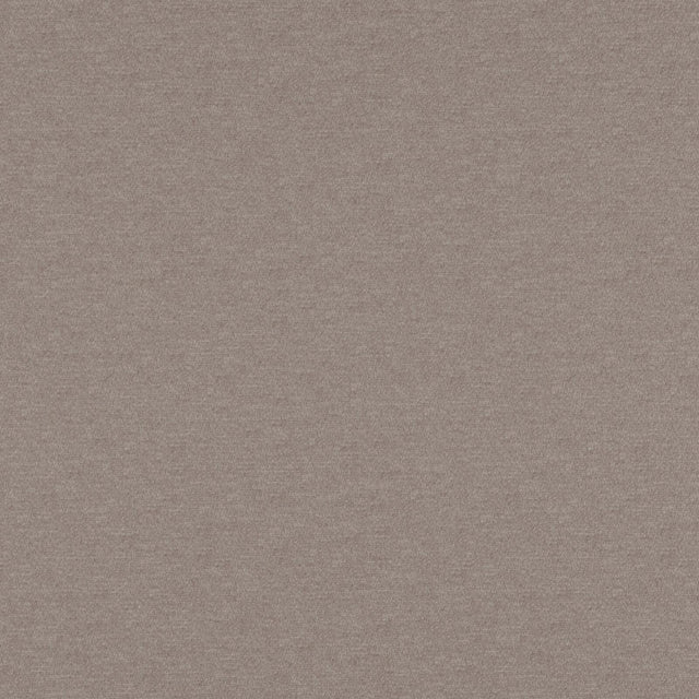 Eade’s # 09 CHINCHILLA