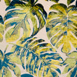 Eade’s ELAN AURORA AURORA