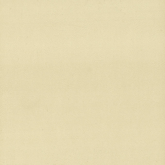STOUT ELBE-1 ELBERT 1 PARCHMENT Fabric - Eades Wallpaper & Fabric
