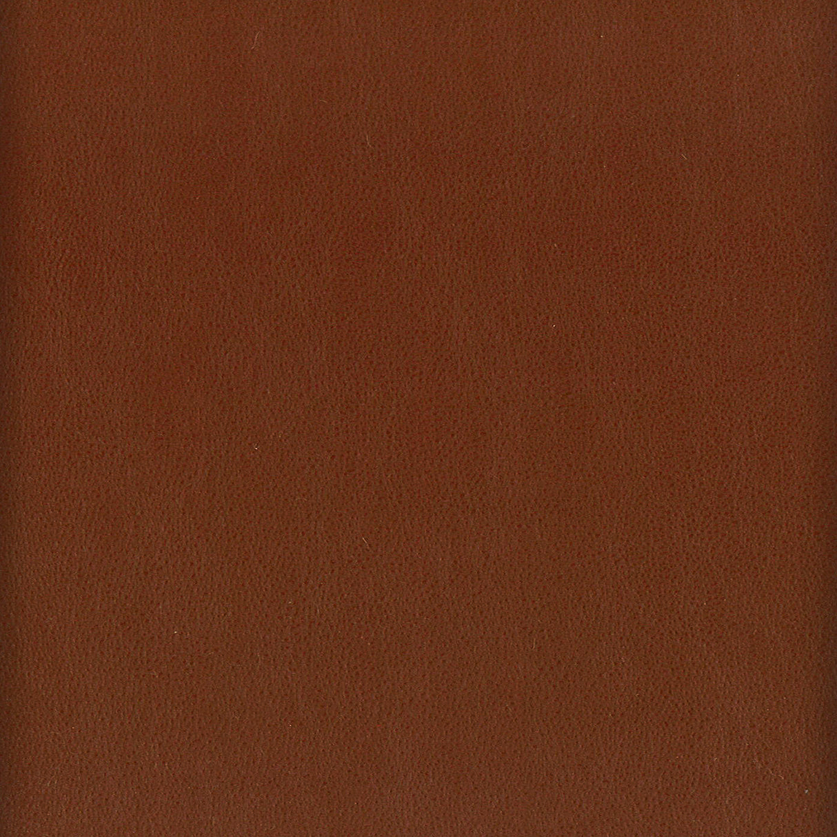 STOUT ELBE-10 ELBERT 10 NUTMEG Fabric - Eades Wallpaper & Fabric