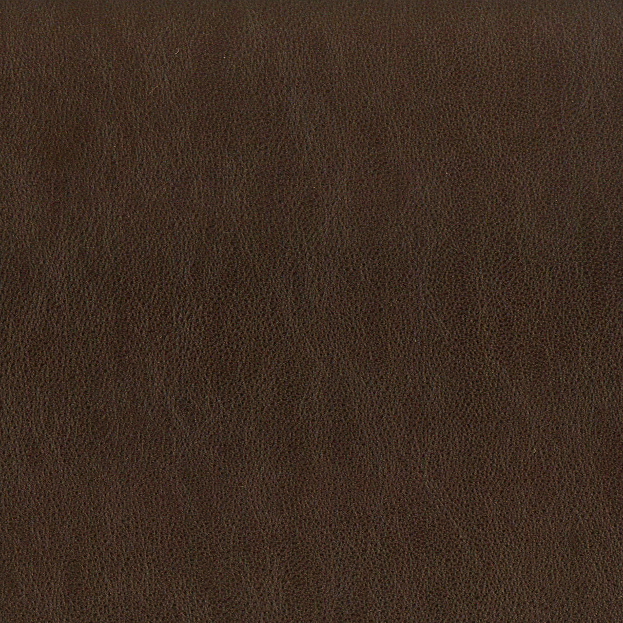 STOUT ELBE-5 ELBERT 5 ESPRESSO Fabric - Eades Wallpaper & Fabric