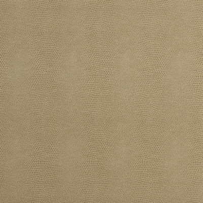 KRAVET COUTURE EPITOME.16.0 EPITOME PUTTY Fabric - Eade's Wallpaper