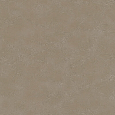 KRAVET DESIGN EQUINE.11.0 KRAVET DESIGN EQUINE-11 Fabric - FAUX LEATHER IV