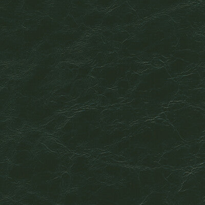 KRAVET DESIGN EQUINE.3.0 KRAVET DESIGN EQUINE-3 Fabric - FAUX LEATHER IV