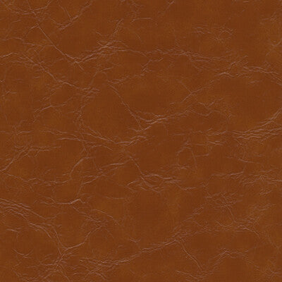 KRAVET DESIGN EQUINE.6.0 KRAVET DESIGN EQUINE-6 Fabric - FAUX LEATHER IV