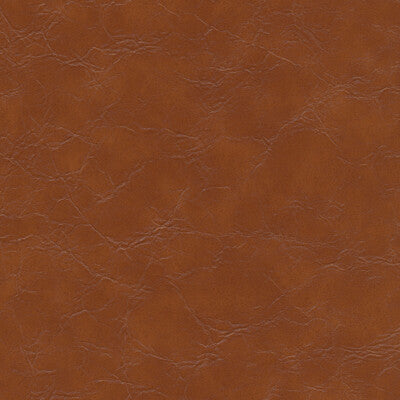 KRAVET DESIGN EQUINE.606.0 KRAVET DESIGN EQUINE-606 Fabric - FAUX LEATHER IV