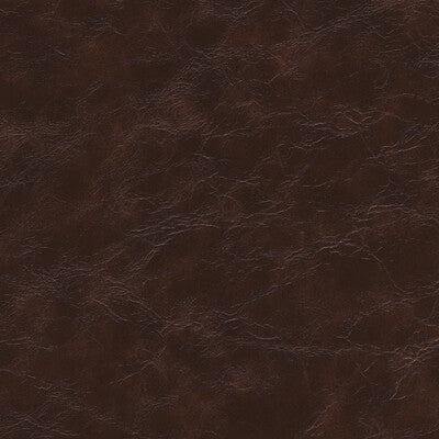 KRAVET DESIGN EQUINE.66.0 KRAVET DESIGN EQUINE-66 Fabric - FAUX LEATHER IV
