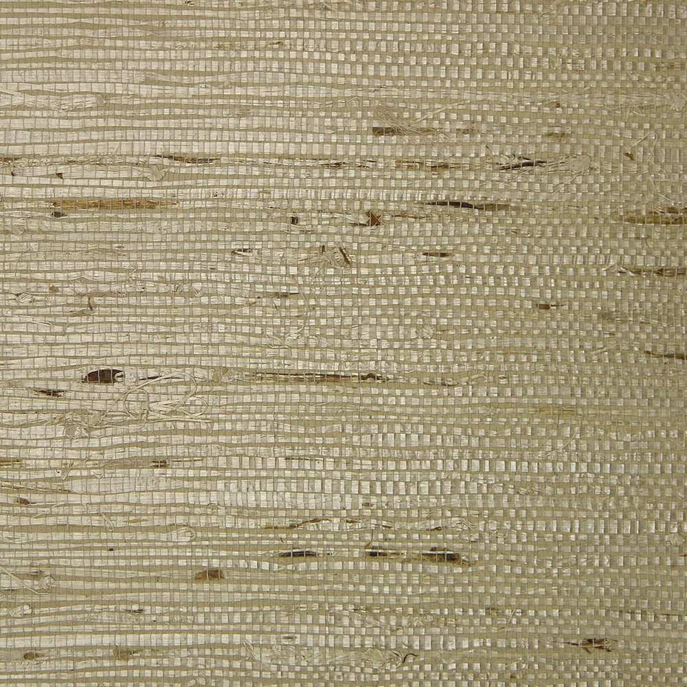 Astek ER132 Fine Arrowroot
