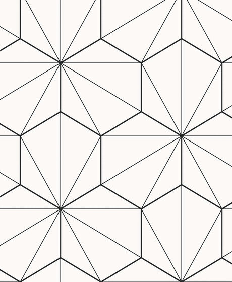 Etten Studios ET11300 Hedron Geometric Wallpaper