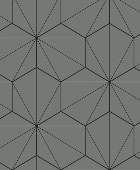 Etten Studios ET11305 Hedron Geometric Wallpaper