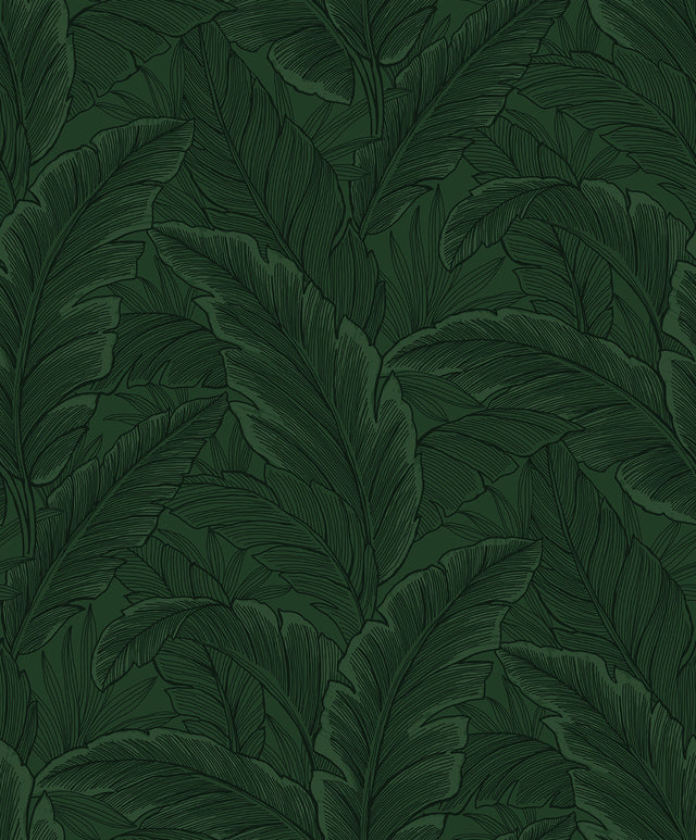 Etten Studios ET13004 Gulf Tropical Leaves Wallpaper