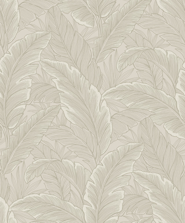 Etten Studios ET13005 Wallpaper - Eade's Wallpaper & Fabric