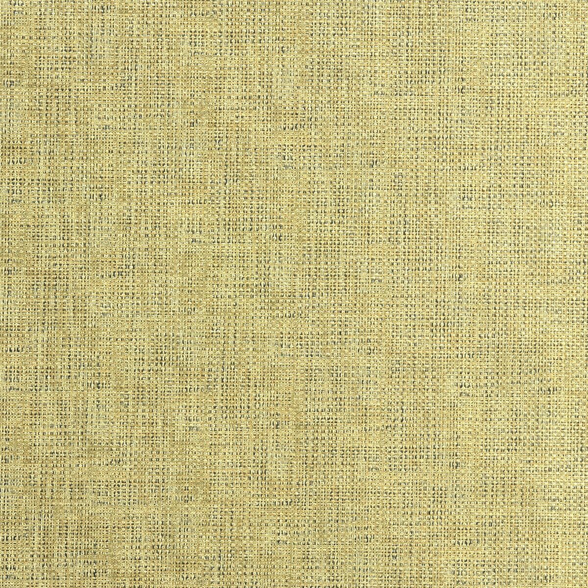 KRAVET COUTURE ETCHING.404.0 ETCHING GOLD Fabric - Eade's Wallpaper