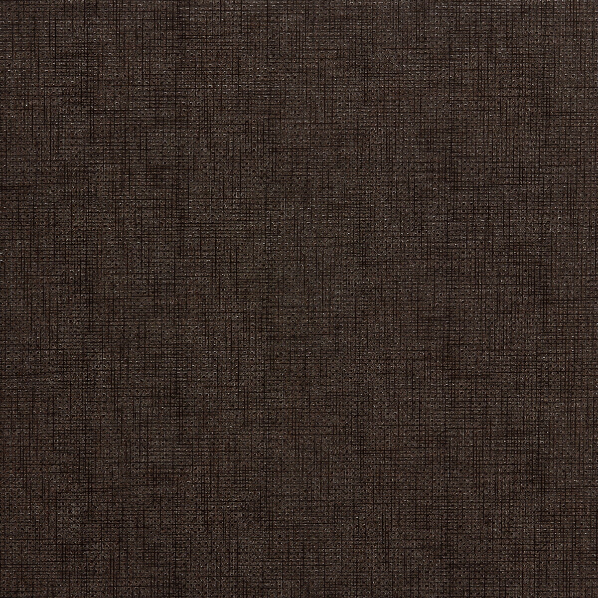 KRAVET COUTURE ETCHING.66.0 ETCHING JAVA Fabric - Eade's Wallpaper
