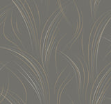 York EV3936 Graceful Wisp Charcoal Wallpaper