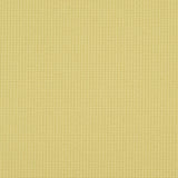 Crypton 13-J7031 EVA Fabric