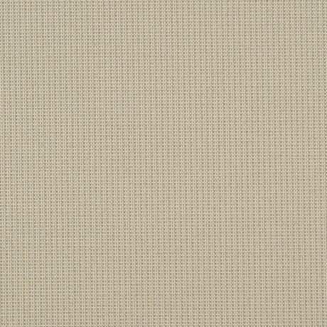 Crypton 34-J7031 EVA Fabric - Eade's Wallpaper & Fabric