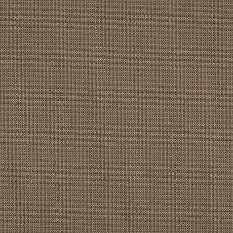 Crypton 36-J7031 EVA Fabric