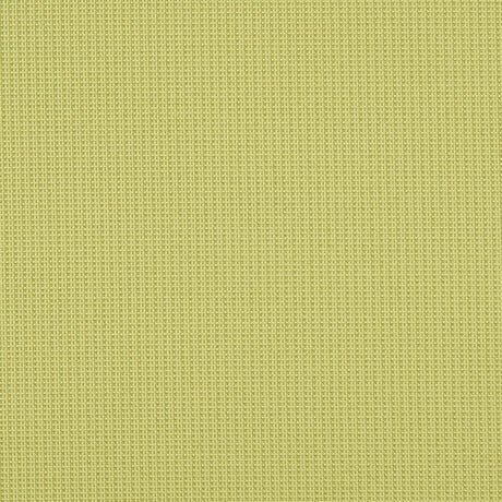 Crypton 72-J7031 EVA Fabric