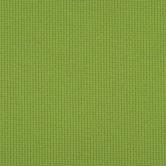 Crypton 75-J7031 EVA Fabric - Eade's Wallpaper & Fabric