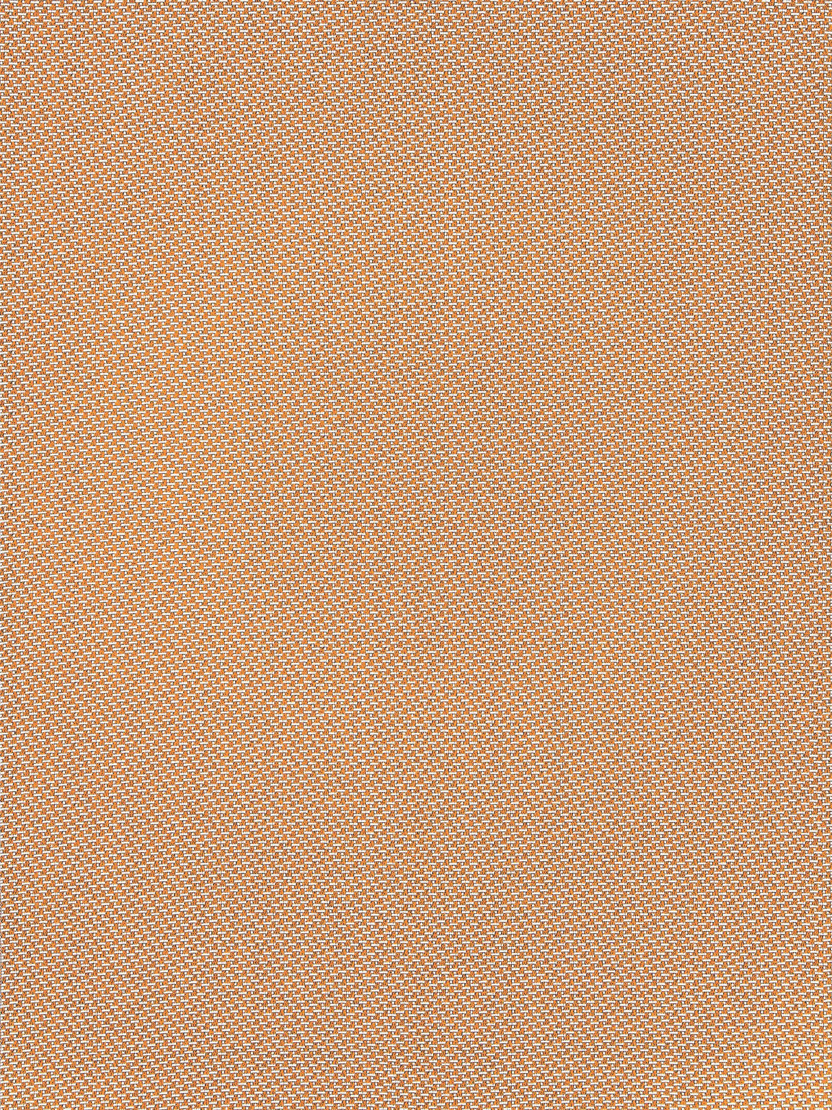 Scalamandre EY 000213ND SPICED PEACH NORTH DOWNS Fabric