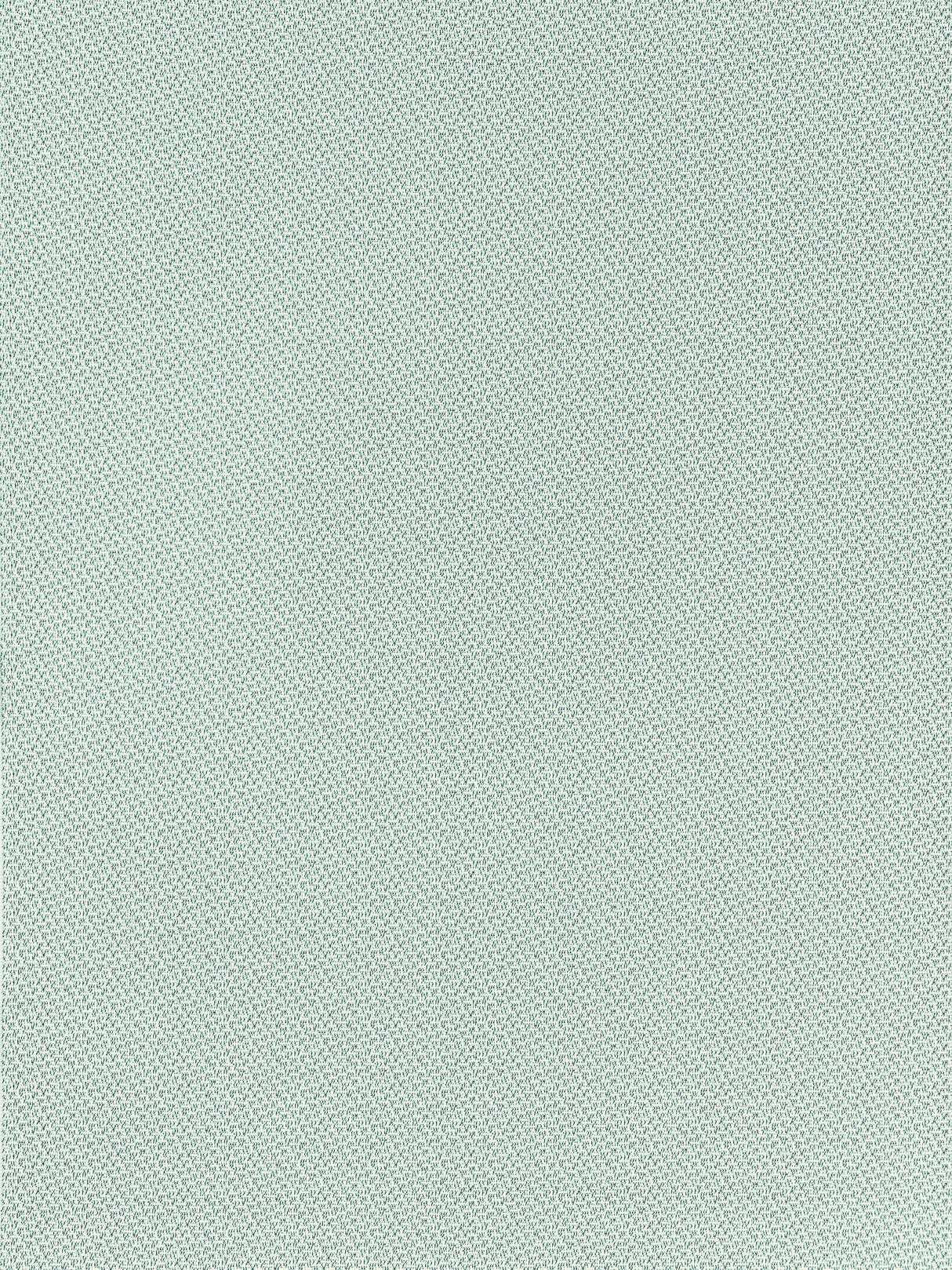 Scalamandre EY 000613ND CELADON NORTH DOWNS Fabric