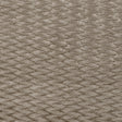 CLARKE AND CLARKE F0467/02.CAC.0 TEMPO ASH Fabric - Eade's Wallpaper