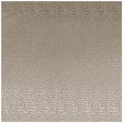 CLARKE AND CLARKE F0469/02.CAC.0 PULSE ASH Fabric - Eade's Wallpaper