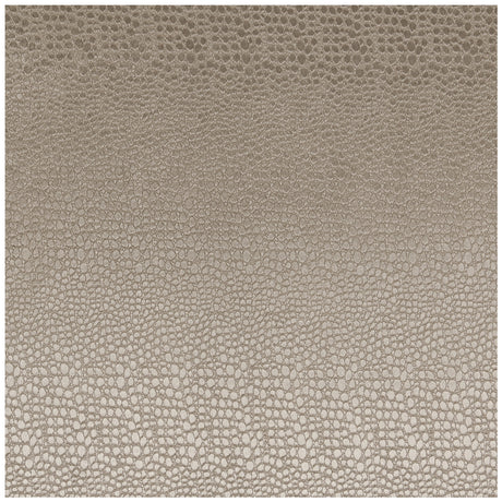 CLARKE AND CLARKE F0469/02.CAC.0 PULSE ASH Fabric - Eade's Wallpaper