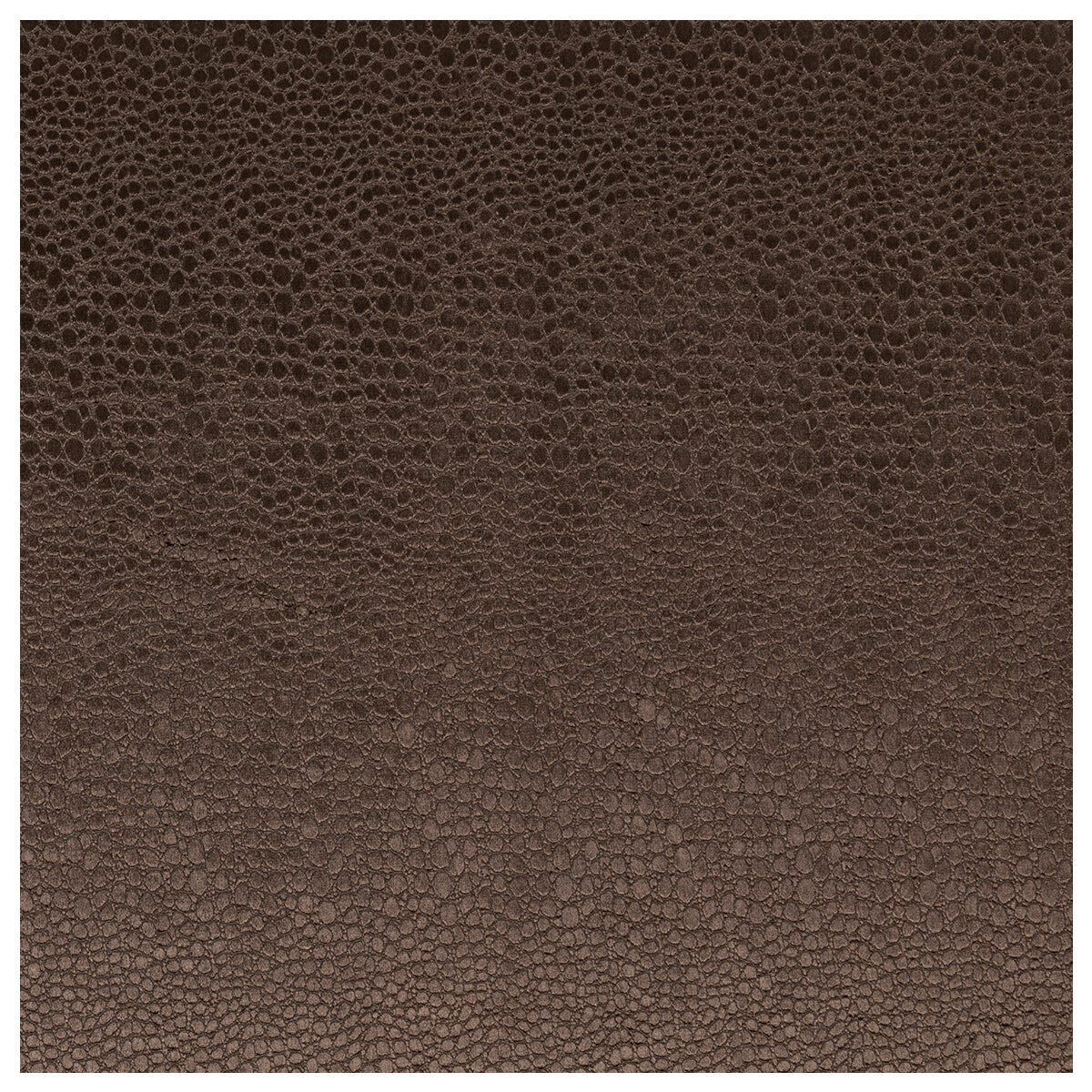 CLARKE AND CLARKE F0469/07.CAC.0 PULSE ESPRESSO Fabric - Eade's Wallpaper