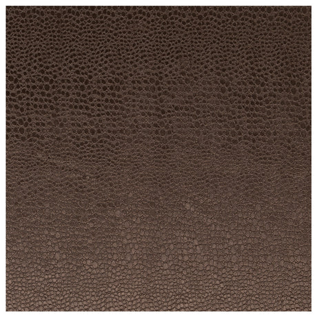 CLARKE AND CLARKE F0469/07.CAC.0 PULSE ESPRESSO Fabric - Eade's Wallpaper