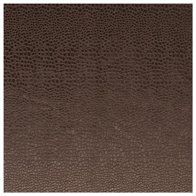 CLARKE AND CLARKE F0469/07.CAC.0 PULSE ESPRESSO Fabric - Eade's Wallpaper