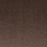 CLARKE AND CLARKE F0469/07.CAC.0 PULSE ESPRESSO Fabric - Eade's Wallpaper