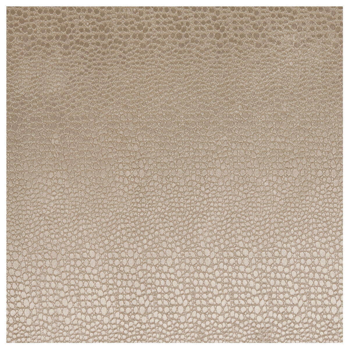 CLARKE AND CLARKE F0469/13.CAC.0 PULSE SAND Fabric - Eade's Wallpaper