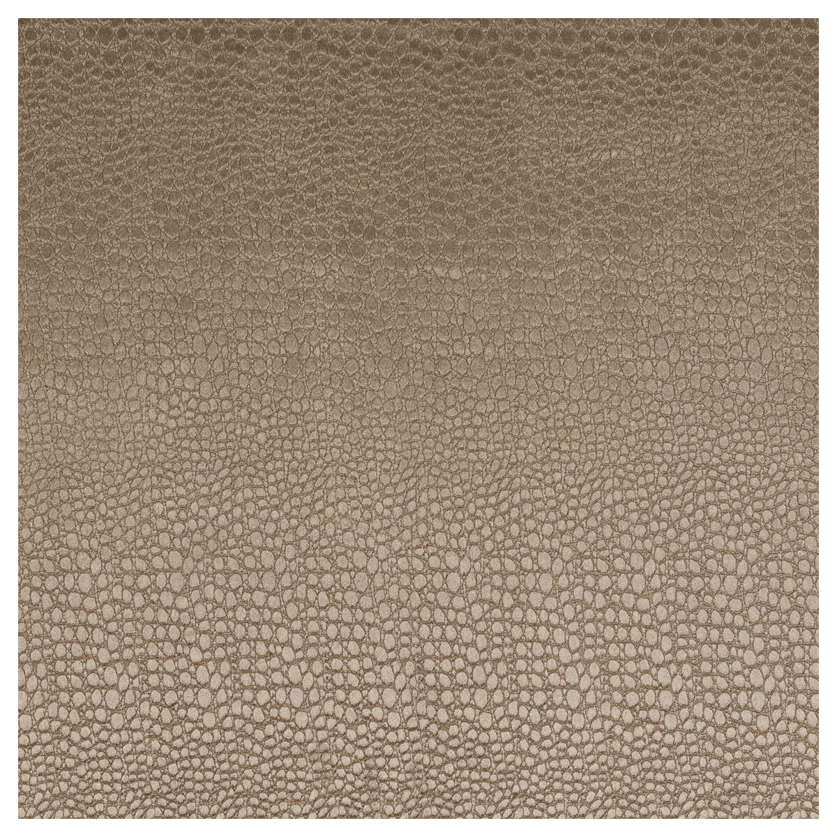 CLARKE AND CLARKE F0469/15.CAC.0 PULSE TAUPE Fabric - Eade's Wallpaper