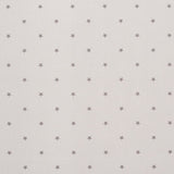 CLARKE AND CLARKE F0519/06.CAC.0 ETOILE SMOKE Fabric - Eade's Wallpaper